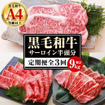 【3か月定期便】カットを選べる!鹿児島県産 黒毛和牛 サーロイン 半頭分 9kg(3kg×3回)  