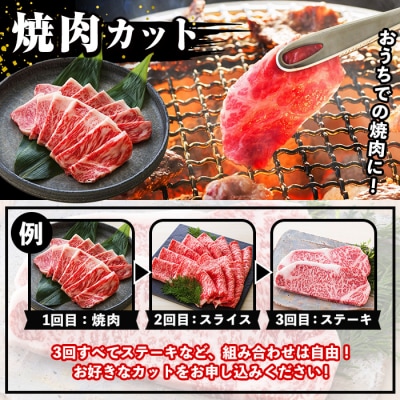 【3か月定期便】カットを選べる!鹿児島県産 黒毛和牛 サーロイン 半頭分 9kg(3kg×3回)  