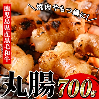 もつ鍋や焼肉に!鹿児島県産黒毛和牛ホルモン(丸腸)約700g
