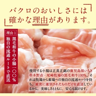 もつ鍋や焼肉に!鹿児島県産黒毛和牛ホルモン(丸腸)約700g