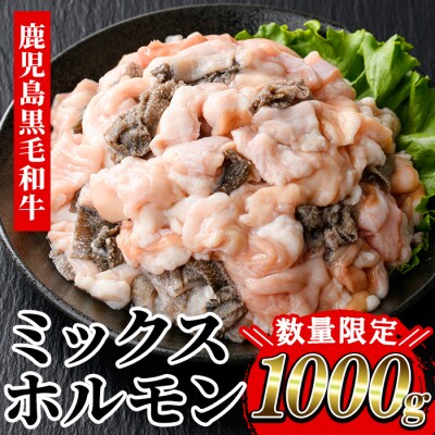 【数量限定】鹿児島県産黒毛和牛ミックスホルモン計1000g(400g×2P+200g) 