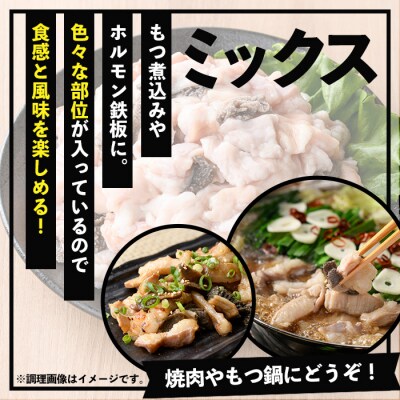 【数量限定】鹿児島県産黒毛和牛ミックスホルモン計1000g(400g×2P+200g) 