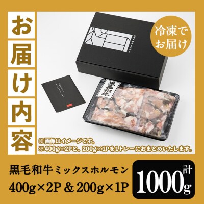 【数量限定】鹿児島県産黒毛和牛ミックスホルモン計1000g(400g×2P+200g) 