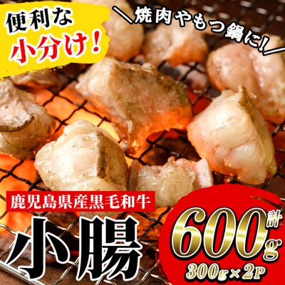 鹿児島県産黒毛和牛の小腸 ホルモン 600g(300g×2P)