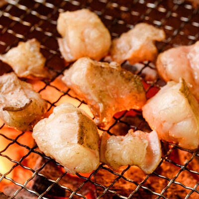 鹿児島県産黒毛和牛の小腸 ホルモン 600g(300g×2P)