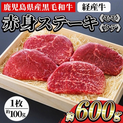 鹿児島県産 黒毛和牛(経産和牛) 赤身 ステーキ 約600g(100g×6枚) 国産 冷凍 小分け