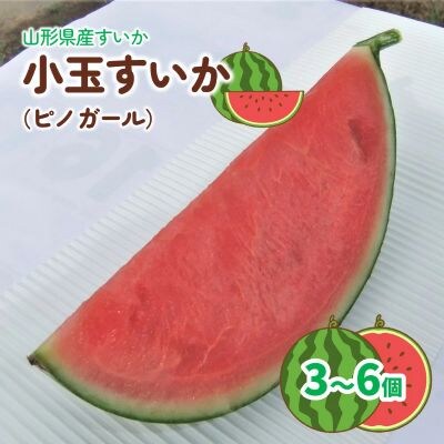 小玉すいか(ピノガール)3～6個　0030-2609