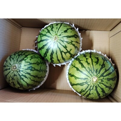 小玉すいか(ピノガール)3～6個　0030-2609