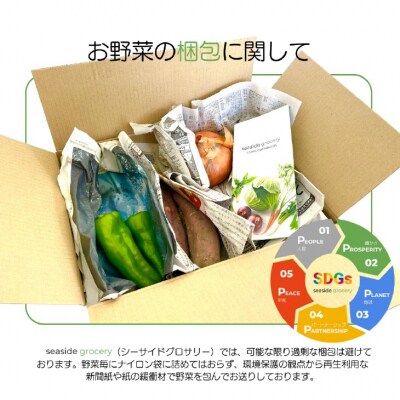 【シーサイドグロサリー】淡路島産規格外野菜ボックス・Sサイズ(お一人様向け)
