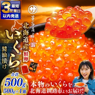 新物 【北海道産】いくら醤油漬け500g×1箱 いくら