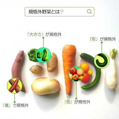 【シーサイドグロサリー】淡路島産規格外野菜ボックス・Mサイズ(2～3人向け)