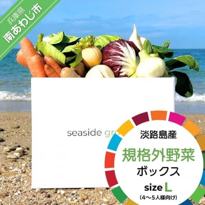 【シーサイドグロサリー】淡路島産規格外野菜ボックス・Lサイズ(4～5人向け)