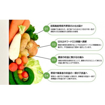 【シーサイドグロサリー】淡路島産規格外野菜ボックス・Lサイズ(4～5人向け)