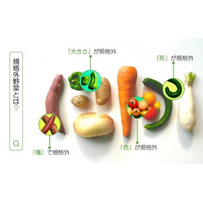【シーサイドグロサリー】淡路島産規格外野菜ボックス・Lサイズ(4～5人向け)