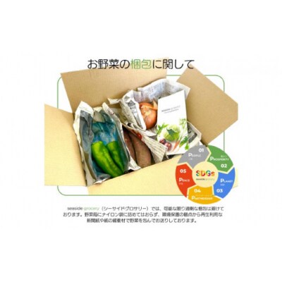 【シーサイドグロサリー】淡路島産規格外野菜ボックス・Lサイズ(4～5人向け)