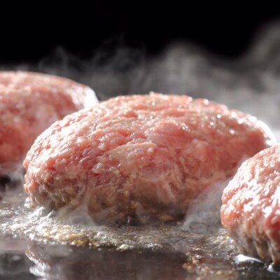 肉巻きなし「肉の日のハンバーグ」8個セット