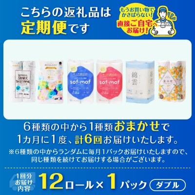 定期便【全6回毎月発送】トイレットペーパーダブル紙のまち富士市おまかせ1パック