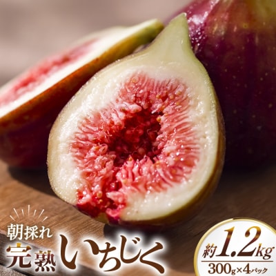 いちじく 生 完熟 約1.2kg (300g×4パック) [モアショップヤマモト 38600615]