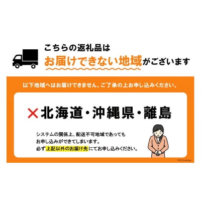 いちじく 生 完熟 約1.2kg (300g×4パック) [モアショップヤマモト 38600615]
