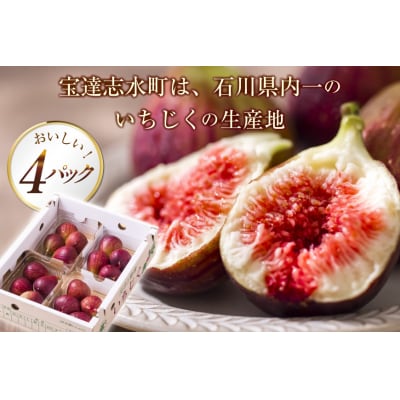 いちじく 生 完熟 約1.2kg (300g×4パック) [モアショップヤマモト 38600615]