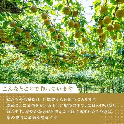 吉川果樹園　はじまりのジュース 完熟 新高梨ジュース 720ml×2本セット