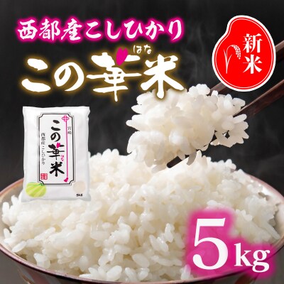 令和8年産 こしひかり5kg『この華米』【先行受付】[2877]