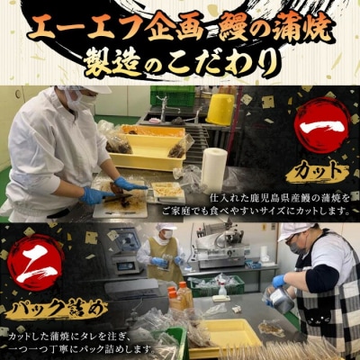 鹿児島県産うなぎ蒲焼300g(60g×5袋)