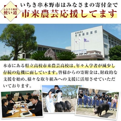 レンジでチンするだけ!金の桜黒豚とうなぎの簡単調理セット4種