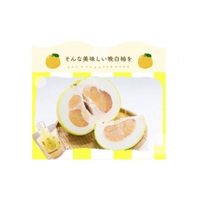 晩白柚ジュレ170g×12個