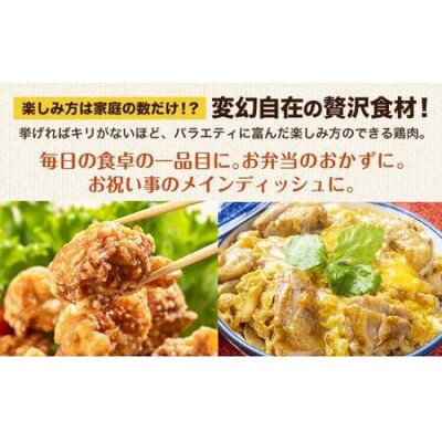 鶏肉  鶏もも 鶏もも肉 2kg 熊本県産 若鶏もも肉 《30日以内に出荷予定(土日祝除く)》