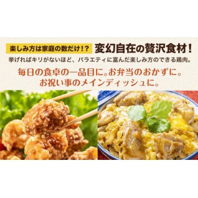 熊本県産 若鶏むね肉 約2kg/もも肉 約2kg 各1袋《30日以内に出荷予定(土日祝除く)》