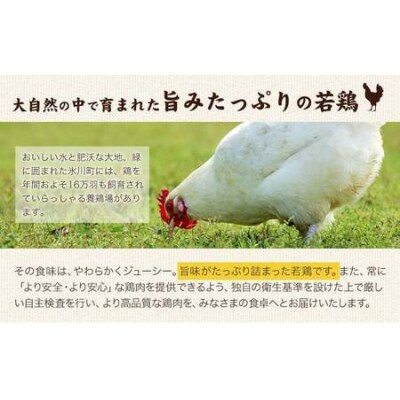 鶏肉 熊本県産 若鶏むね肉  2kg 《30日以内に出荷予定(土日祝除く)》