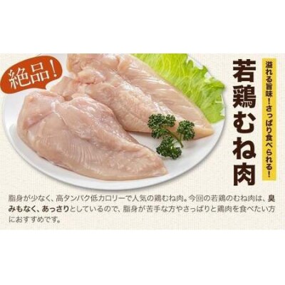 鶏肉 熊本県産 若鶏むね肉  2kg 《30日以内に出荷予定(土日祝除く)》