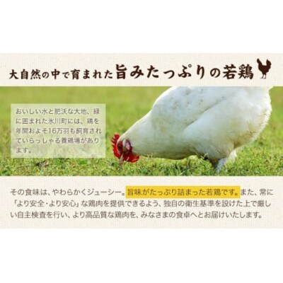 熊本県産 若鶏むね肉 合計4kg(約2kg×2袋) 《30日以内に出荷予定(土日祝除く)》