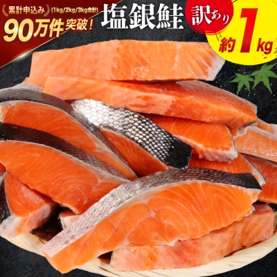 訳あり 鮭 切身 約1kg [宮城東洋 宮城県 気仙沼市 20564663] サーモン