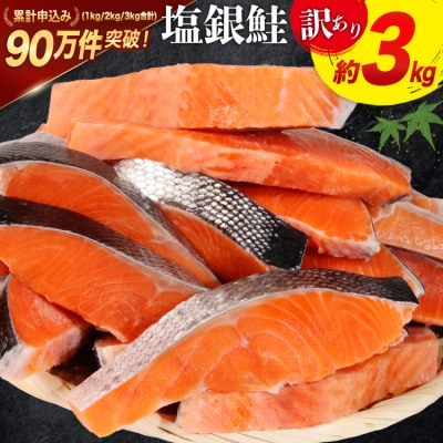 訳あり 鮭 切身 約3kg [宮城東洋 宮城県 気仙沼市 20564992] サーモン
