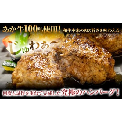 あか牛 100%ハンバーグ 120g×6個 あか牛のたれ付き 熊本県産 あか牛 あかうし 道の駅竜北