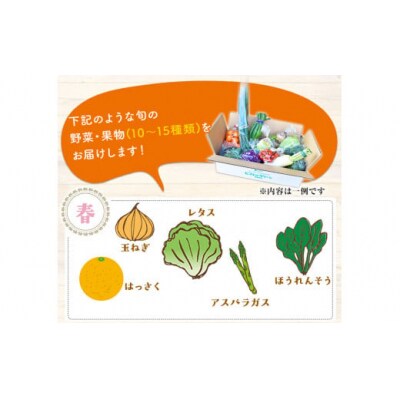 【3ヶ月定期便】 旬の新鮮野菜・果物詰合せセット (計3回お届け)たっぷり10-15品目