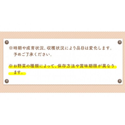 【3ヶ月定期便】 旬の新鮮野菜・果物詰合せセット (計3回お届け)たっぷり10-15品目