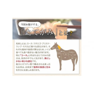 馬刺し上赤身 ブロック熊本肥育 生食用 たれ付き(100g×2)+たてがみ(50g×1)