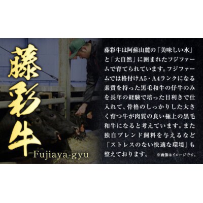 肉 藤彩牛 焼肉用 バラ カルビ 合計約400g 道の駅竜北
