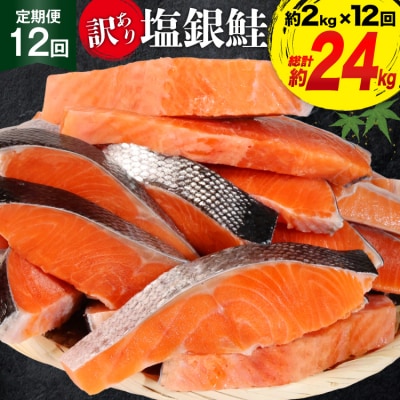 定期便 《12ヶ月連続お届け》 訳あり 銀鮭 切身 約2kg×12 計24kg 20564464