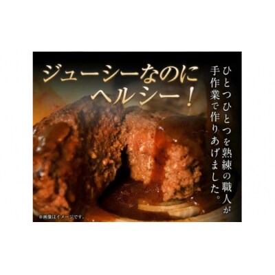 手作りハン馬ーグ 100g×10個 馬肉100%配合!【熊本肥育】