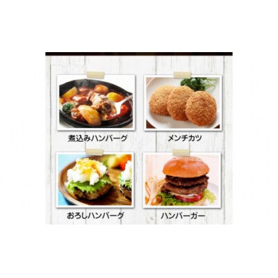 手作りハン馬ーグ 100g×10個 馬肉100%配合!【熊本肥育】