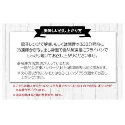 手作りハン馬ーグ 100g×10個 馬肉100%配合!【熊本肥育】
