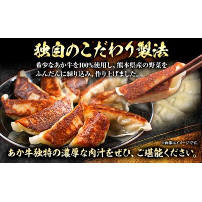 熊本和牛 あか牛 餃子 40個 ( 20個 × 2 ) 道の駅竜北