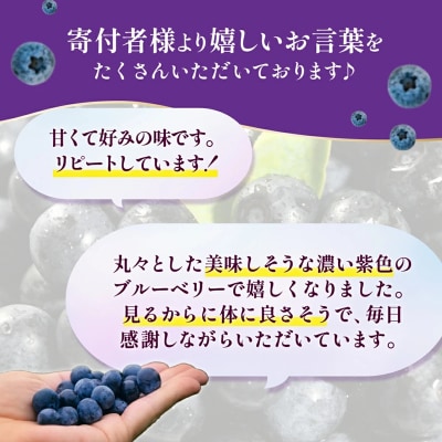 【先行受付】童集乃村ブルーベリー(生果)1kg