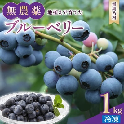【先行受付】童集乃村ブルーベリー(冷凍)1kg
