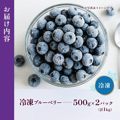 【先行受付】童集乃村ブルーベリー(冷凍)1kg