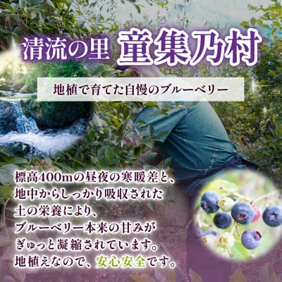 【先行受付】童集乃村ブルーベリー(冷凍)1kg